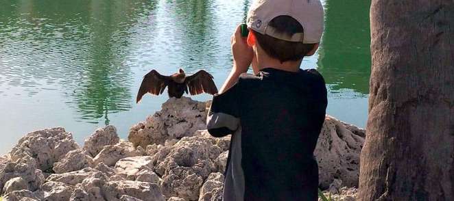 Watch Wildlife